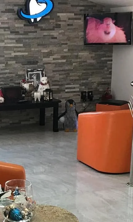Sala de așteptare: fotolii portocalii, un perete placat cu piatră gri, un televizor și o măsuță joasă.